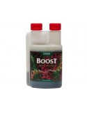 CannaBoost Accelerator 250ml