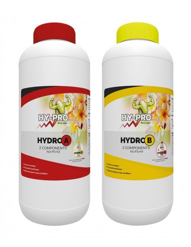 Hy-Pro Hydro A&B 1 ltr ( 2ltr)