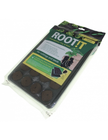 Rootit spongepot 24 stuks per tray stekpluggen