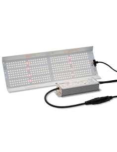 Afdaling herhaling factor LED Groeilamp | Led Kweeklamp Full Spectrum| LED Kweeklamp Kopen - Online  Top Garden (2)
