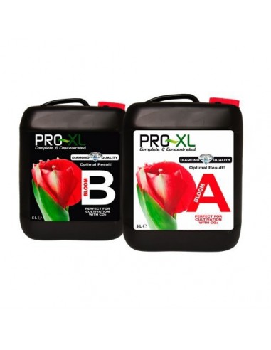 Pro Xl Bloom A&B 5 liter