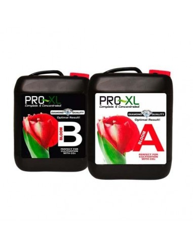 Pro XL Bloom A&B 10 liter