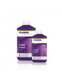 Plagron Sugar Royal 250ml